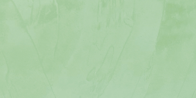 Mint Mint